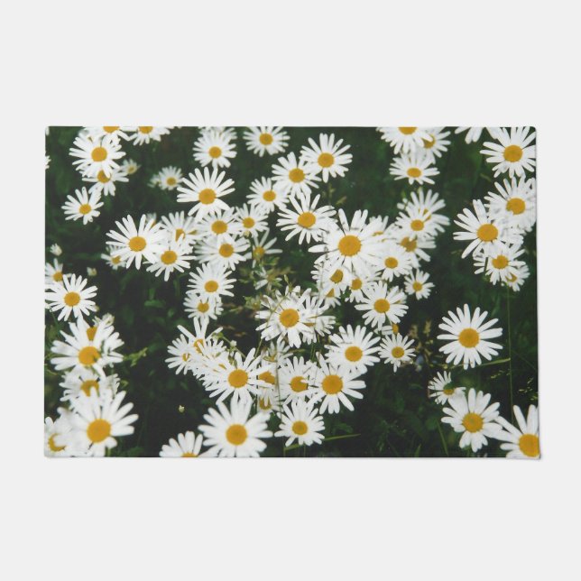 Tapete Margarida Branca de Oxeye, Moon Daisy Meadow (Frente)