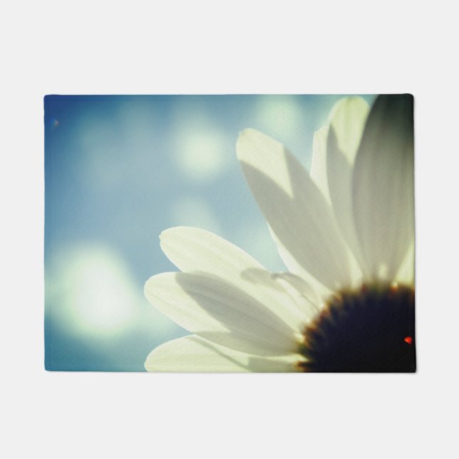 Tapete Margerite Gänseblümchen blauer Himmel Sommer Motiv (Frente)