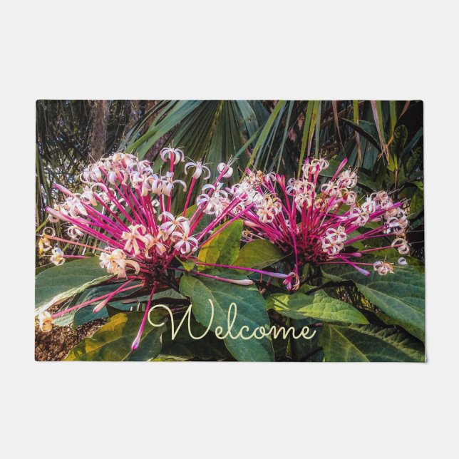 Tapete Matriz de Flores do Clerodendrum Starburst (Frente)