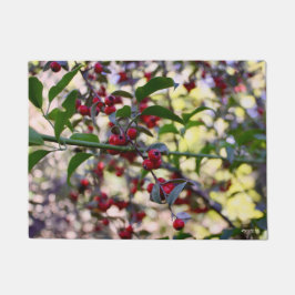 Tapete Matriz de Natal/Porta de Inverno