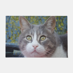 Tapete Matriz de Porta Branca de Gato de cinza