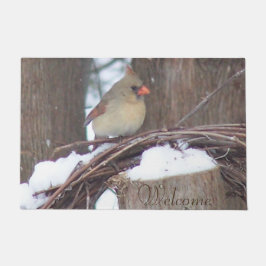 Tapete Matriz de porta cardinal