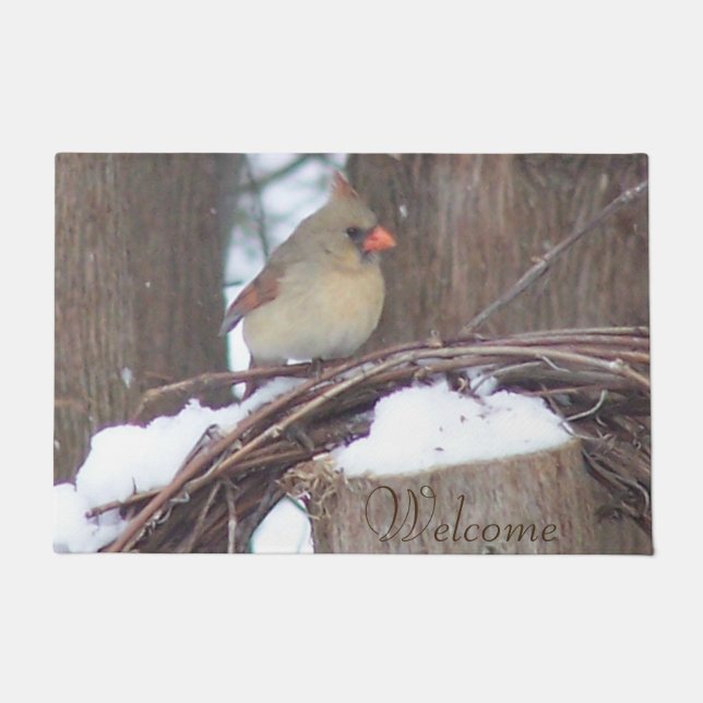 Tapete Matriz de porta cardinal (Frente)