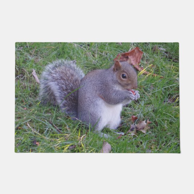 Tapete Matriz de porta de esquilo (Frente)