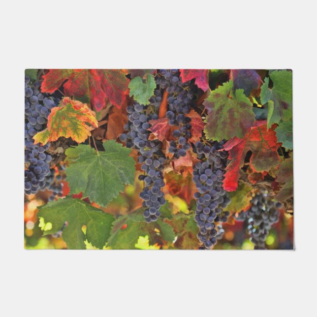 Tapete Matriz de Portas de Vinho Mais Bonito (Frente)