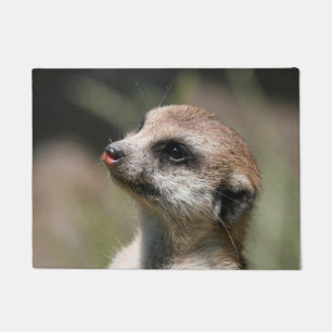 Tapete Meerkat 014