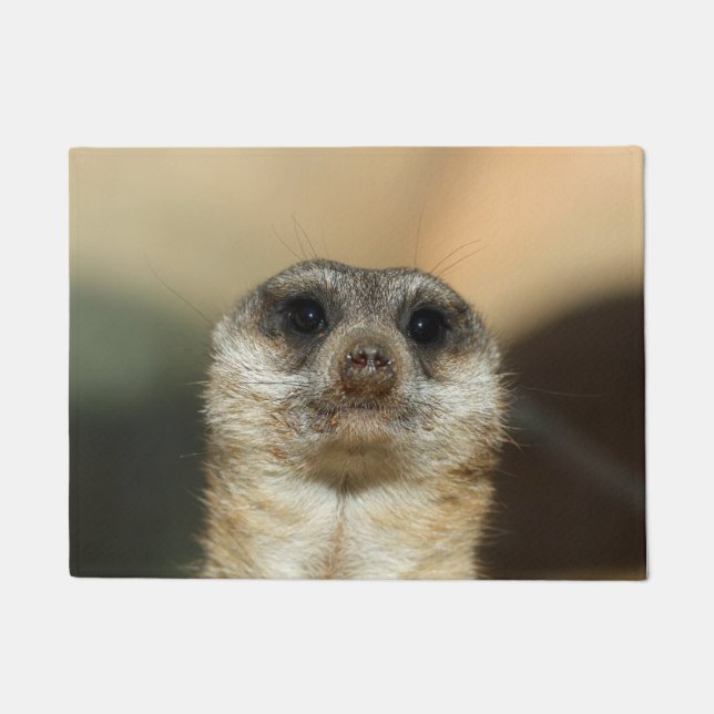 Tapete Meerkat 023 (Frente)