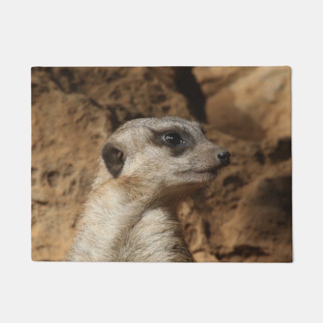 Tapete Meerkat 029 (Frente)