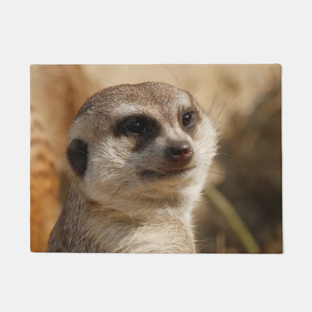 Tapete Meerkat 041 (Frente)