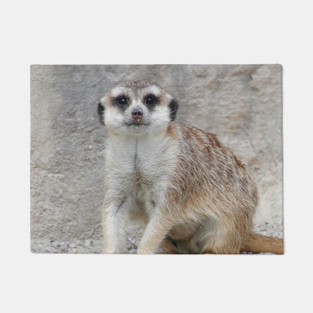 Tapete Meerkat 134 (Frente)