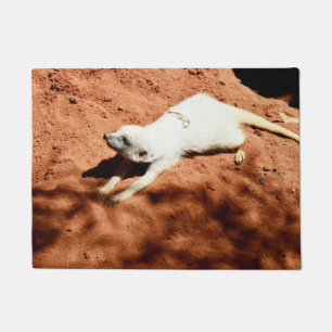 Tapete Meerkat Branco Esticando, Porta