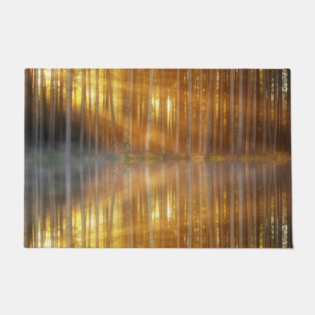 Tapete Misty Forest Scene (Frente)