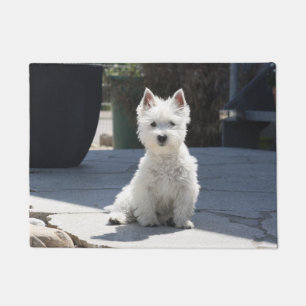 Tapete Montanhas ocidentais brancas Terrier que senta-se
