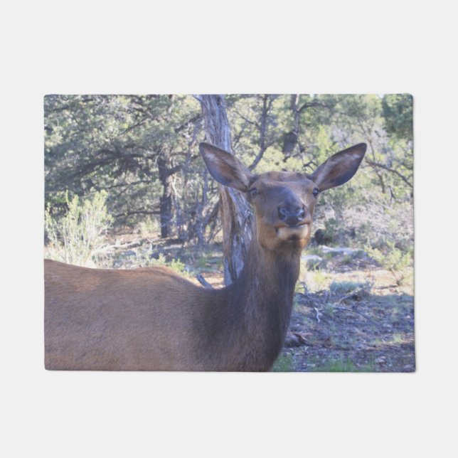 Tapete Moose Doormat (Frente)