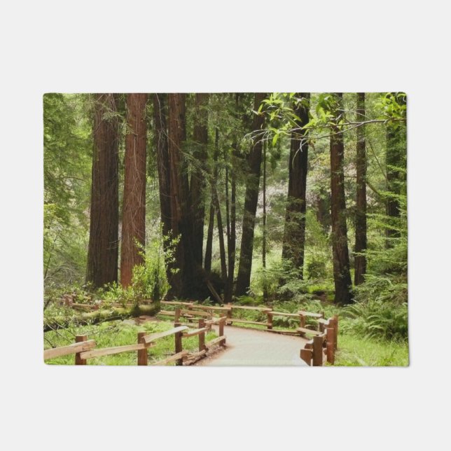 Tapete Muir Woods Path I Nature Photoics (Frente)