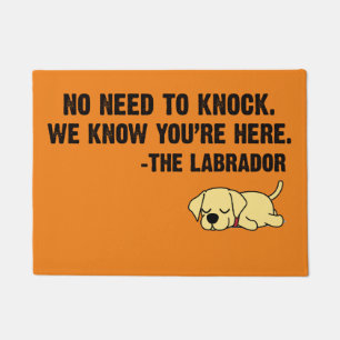 Tapete Não precisa bater no labrador