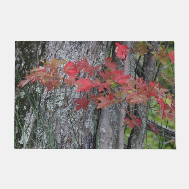 Tapete Natures Bounty (Frente)