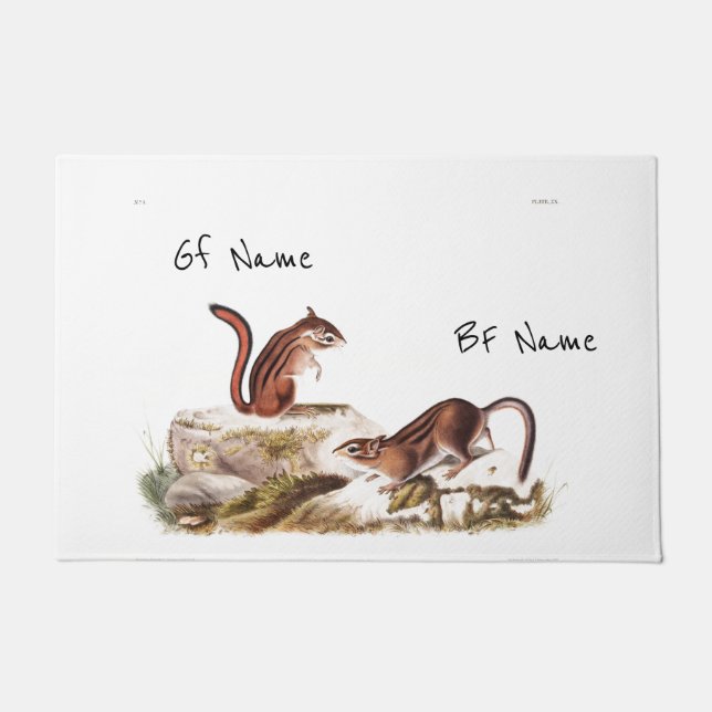 Tapete Nome do Casal de Esquilo do Solo da Cidade Persona (Frente)