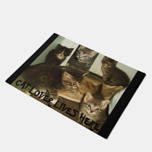 TAPETE O AMANTE DE GATO VIVE AQUI