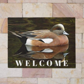 Tapete O Duque Americano Wigeon em Pond Bem-vindo