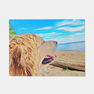Tapete O golden retriever dá boas-vindas a Matt