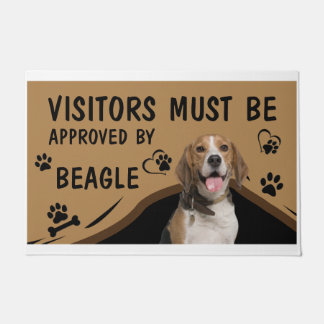 Tapete O Visitante Deve Ser Aprovado Por Springer Beagle