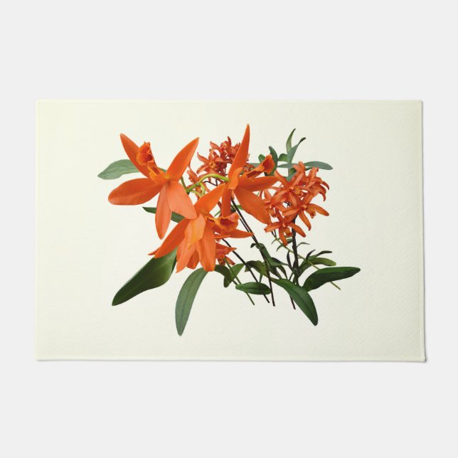 Tapete Orquídea Epidendrum Laranja (Frente)