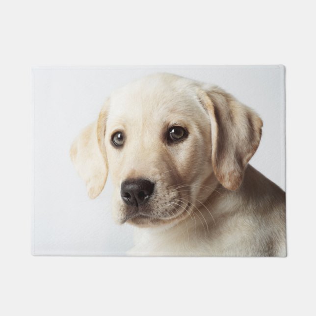 Tapete Ouro Labrador Puppy (Frente)