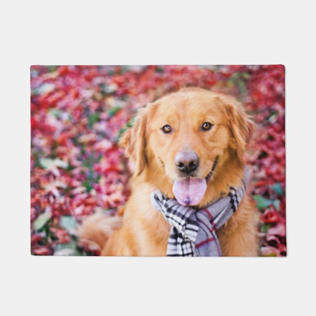 Tapete Ouro Retriever Em Scarf (Frente)