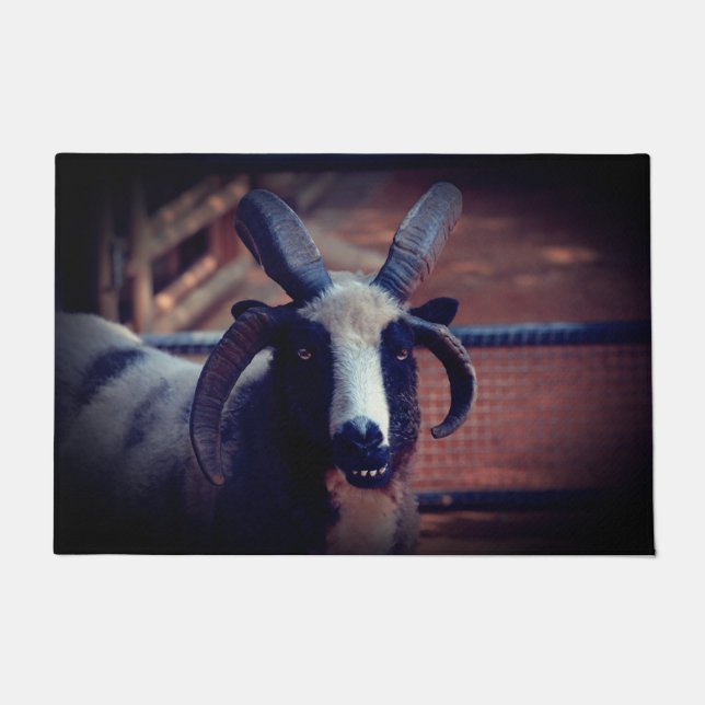 Tapete Ovelha (Frente)