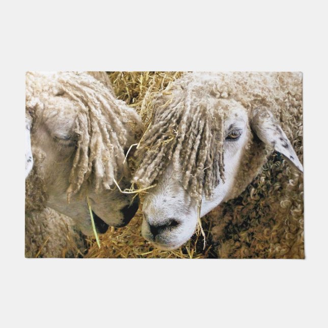 TAPETE OVINO (Frente)