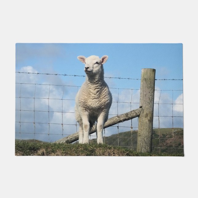 TAPETE OVINO DE BOVINO (Frente)