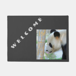 Tapete Panda20170502_by_JAMFoto