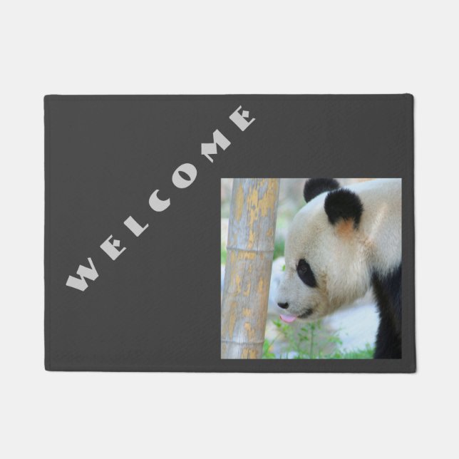Tapete Panda20170502_by_JAMFoto (Frente)