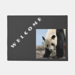 Tapete Panda20170506_by_JAMFoto