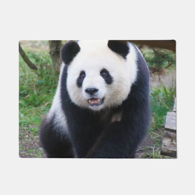 Tapete Panda_20190301_by_JAMFoto (Frente)
