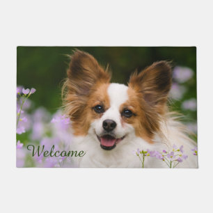 Tapete Papillon Dog - Foto do Potrait Romântico - Bem-vi