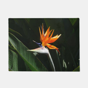 Tapete Pássaro da Flor Tropical Laranja do Paraíso