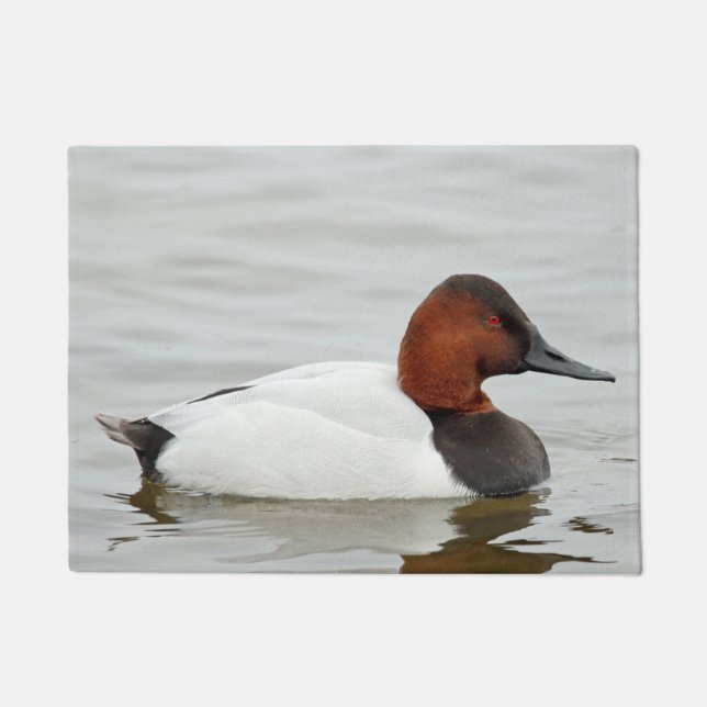 Tapete Pato de Canvasback Drake (Frente)