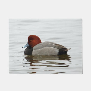 Tapete Pato Drake do Redhead