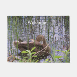 Tapete Pato se ajeitando entre os juncos