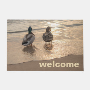 Tapete Patos do pato selvagem na praia