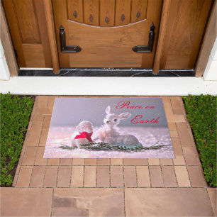 Tapete Paz na Terra Doormat