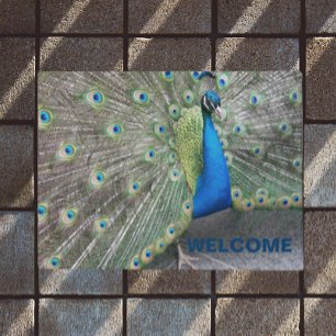 Tapete Peacock Feathers Foto Bem-vindo