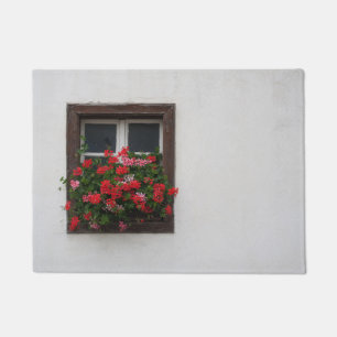 Tapete Pelargonium Vermelho e Rosa