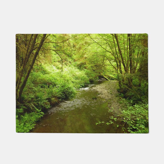 Tapete Perdido Homem Creek I no Parque Nacional de Redwoo (Frente)