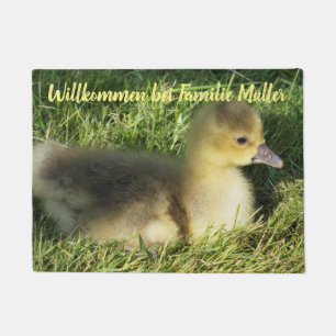 Tapete Personalizar, modelo, animal, animal, animal, vivo