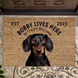 Tapete Pet Personalizado Dachshund