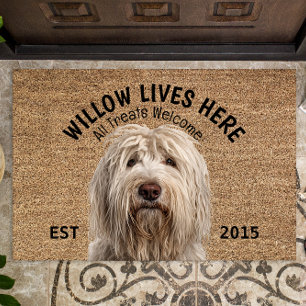 Tapete Pet Personalizado Komondor