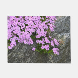 Tapete Phlox Rosa Em Rochas